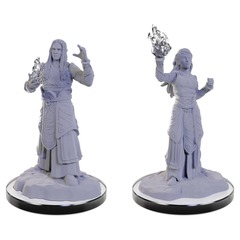 D&D: Nolzur's Marvelous Miniatures: Elf Wizards Wave 22